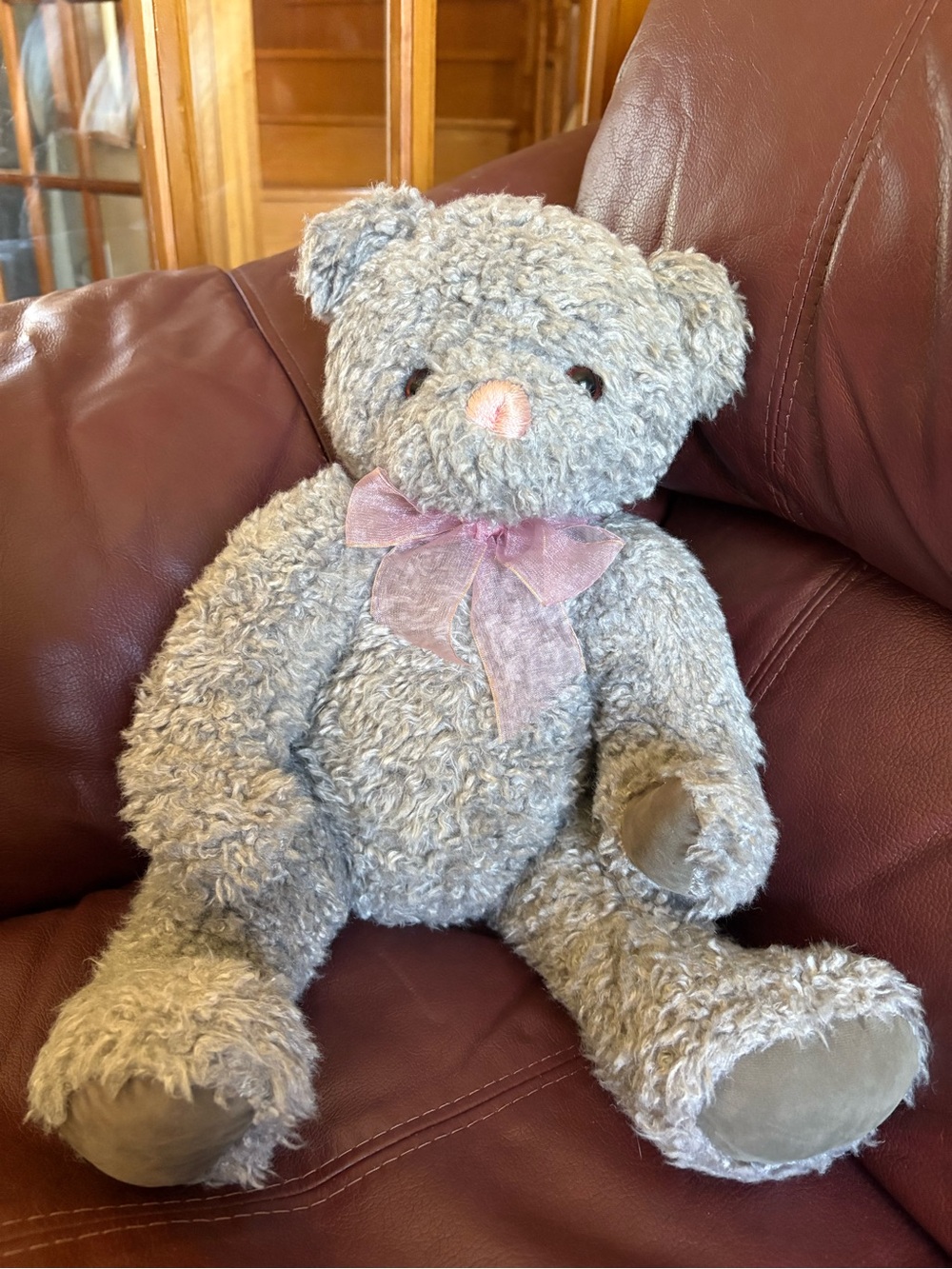 Teddy Bear